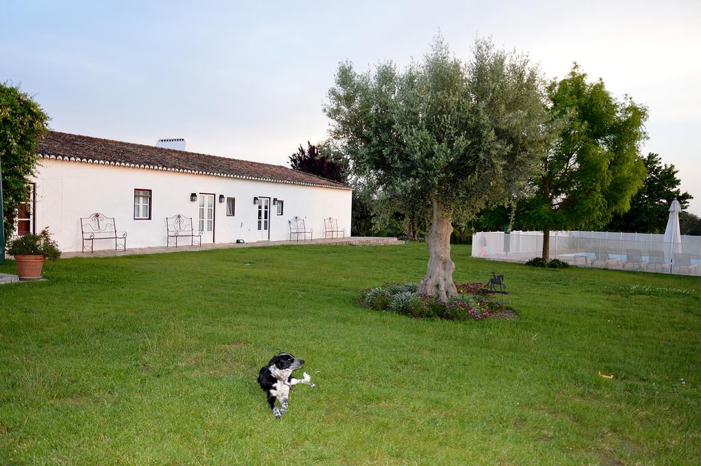 Monte Da Boavista - Country Family House Alter do Chão Exterior foto